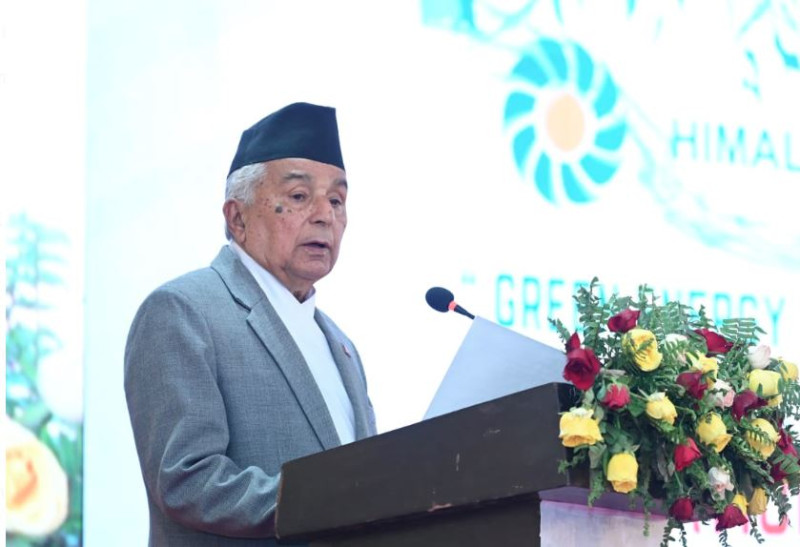 राजनीतिले लगानीकर्तामाझ उत्साह भर्न सक्नुपर्छ: राष्ट्रपति पौडेल 